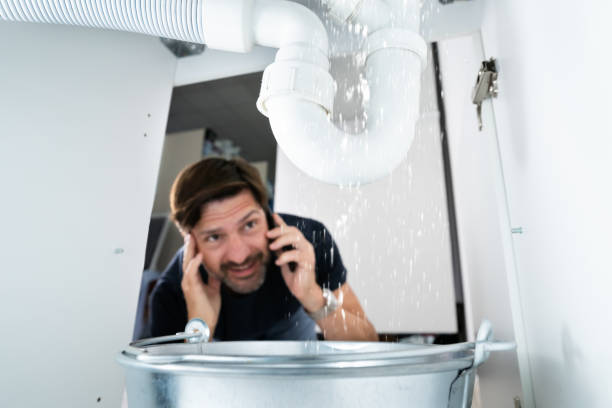 Best Best Plumbers Near Me  in Bellwood, IL