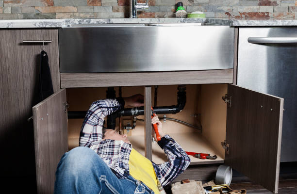 Best Clogged Drain Plumber  in Bellwood, IL